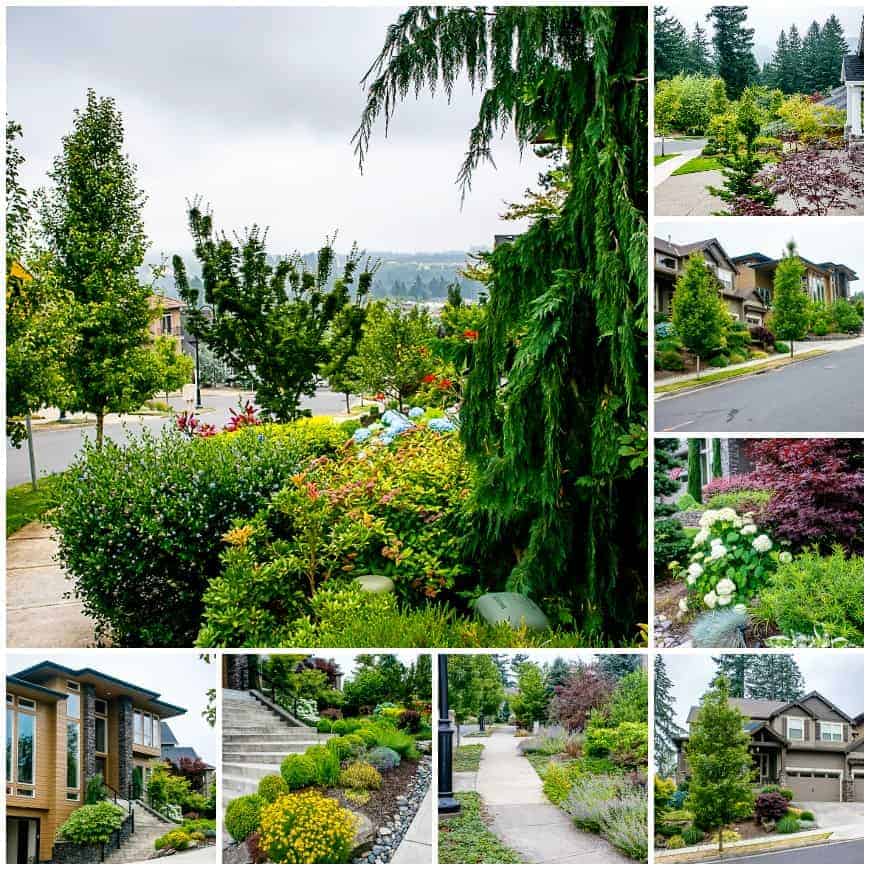 Happy Valley Neighborhood Guide | SkyBlue Portland