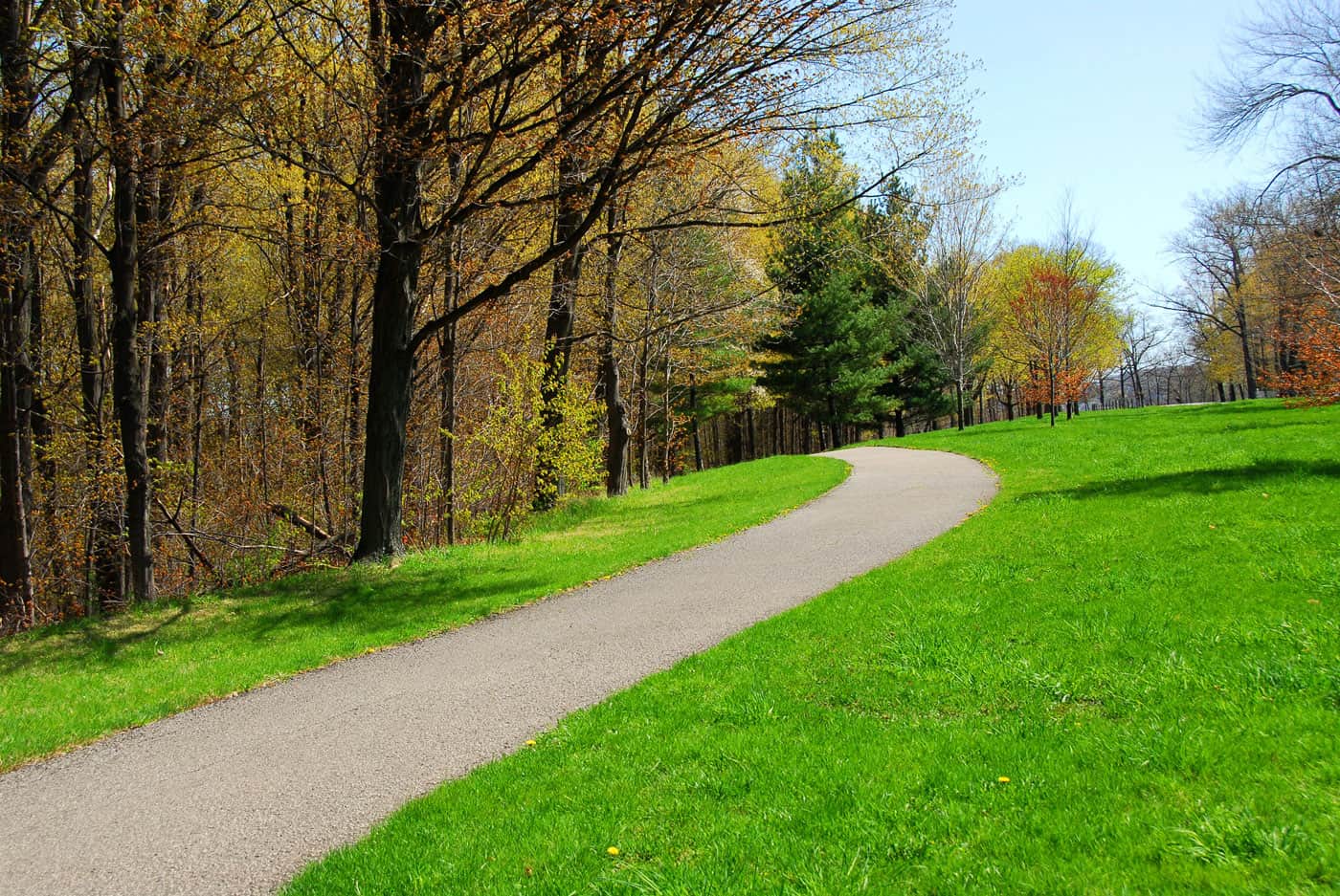Paved-trail-Mountain-park Paved trail in Mountain Park