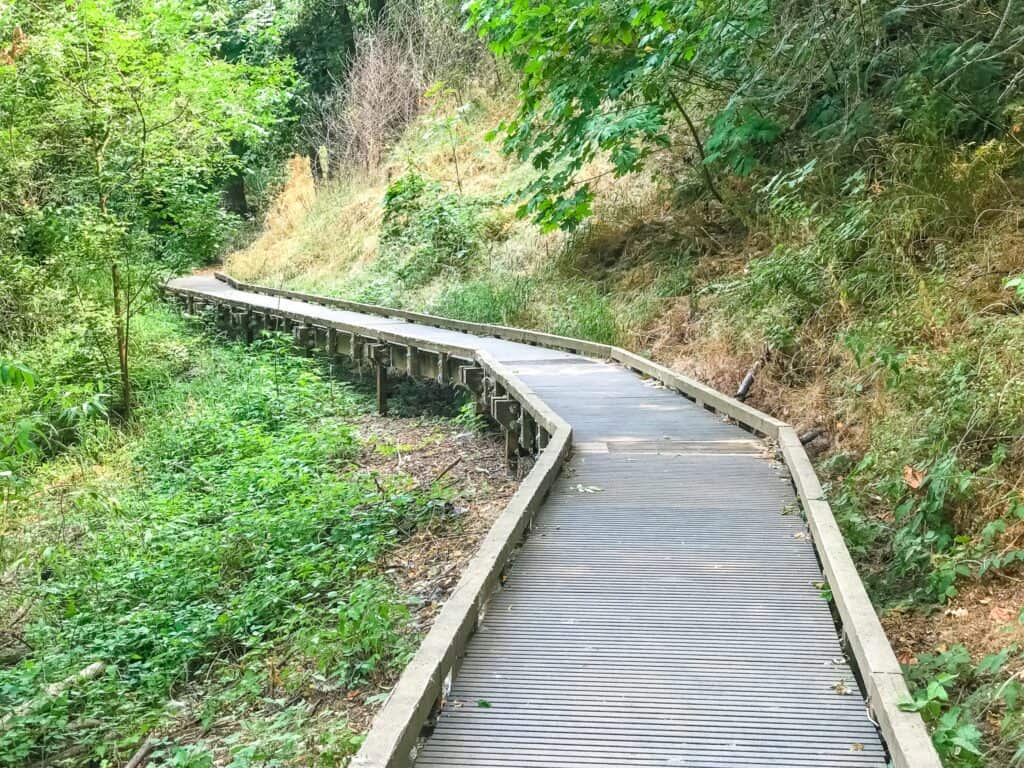 Oaks Bottom Trail