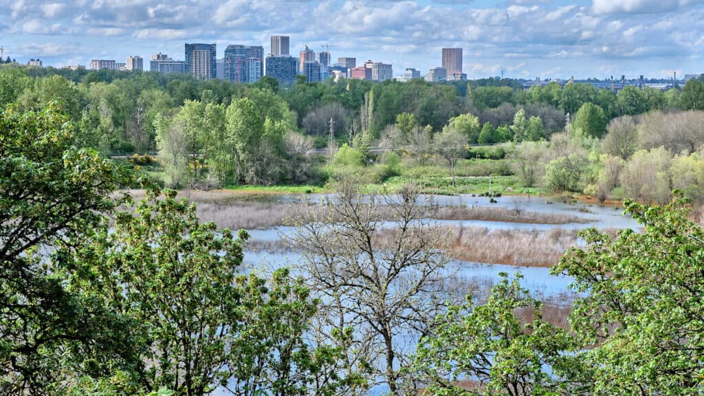 Sellwood view of Oaks Bottom downtown Portland in the distance