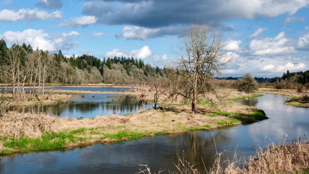 Salmon Creek Greenway Trail 