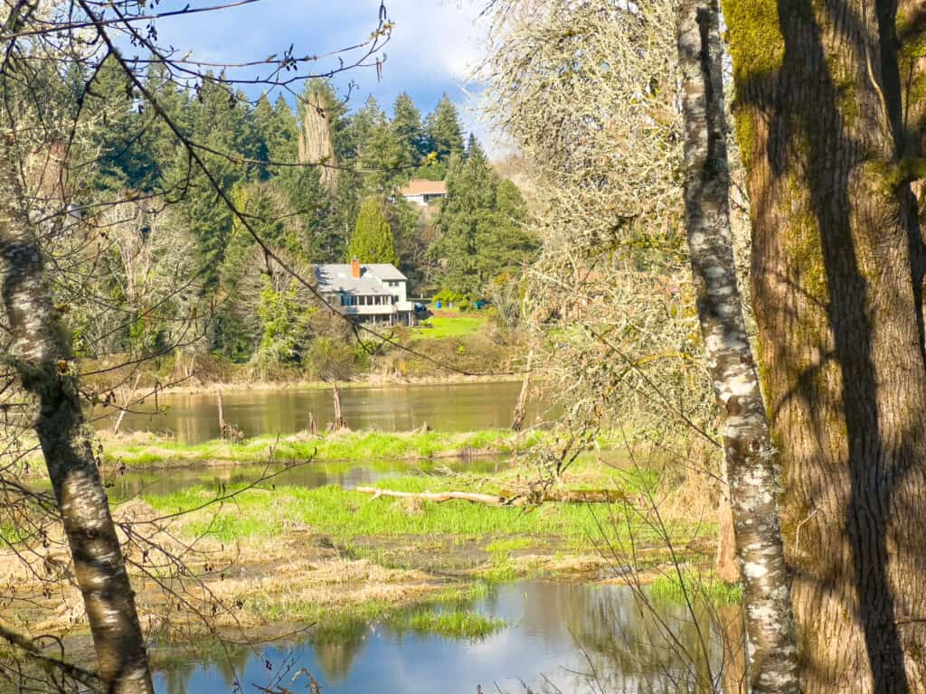 View from Salmon Creek Trail