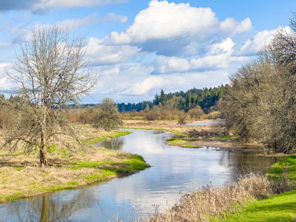 View from Salmon Creek Trail 2