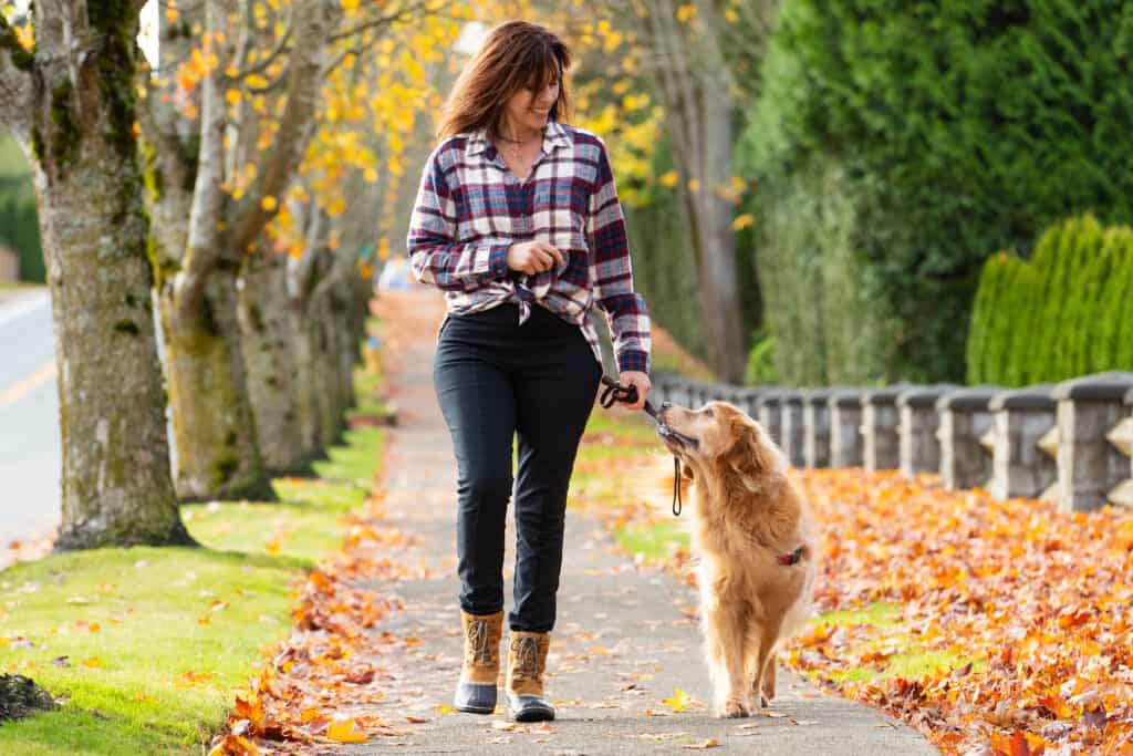 Woman walking golden retriever dog in Fall leaves