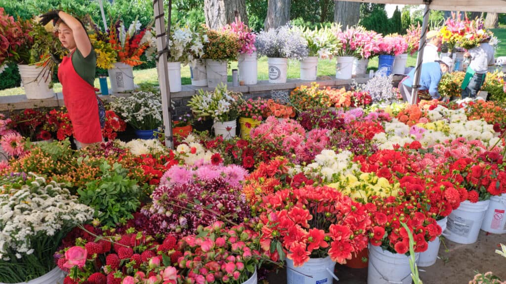 Lake Oswego Farmers Market